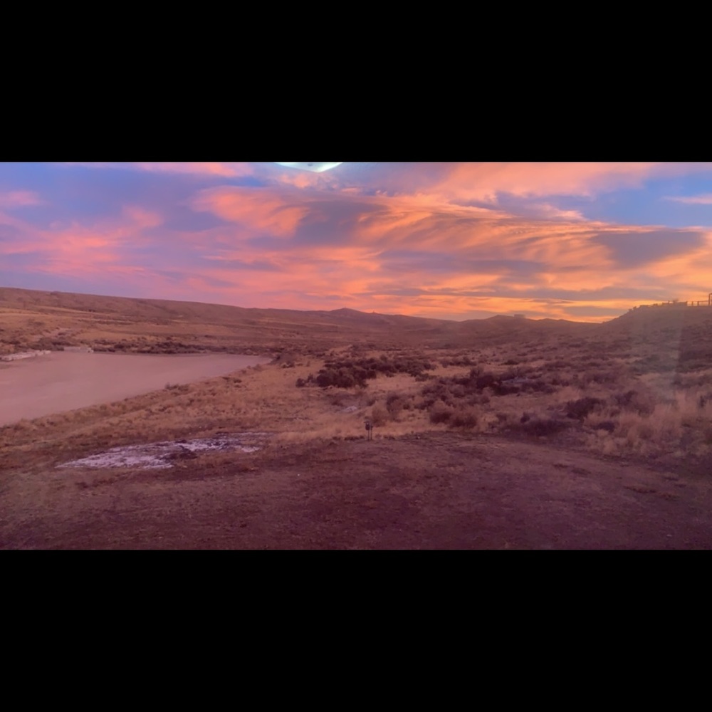 Meet your Posher, Bailey